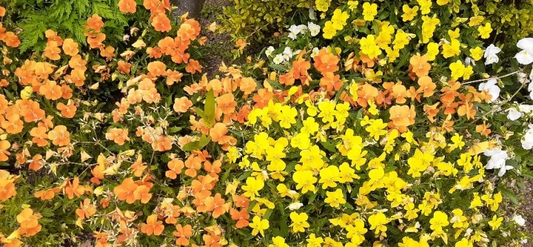 KakaoTalk_20200528_224135712_09_(1).jpg?type=w773