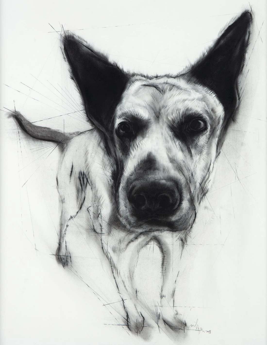 mosac1xcWi.jpeg?type=w1100