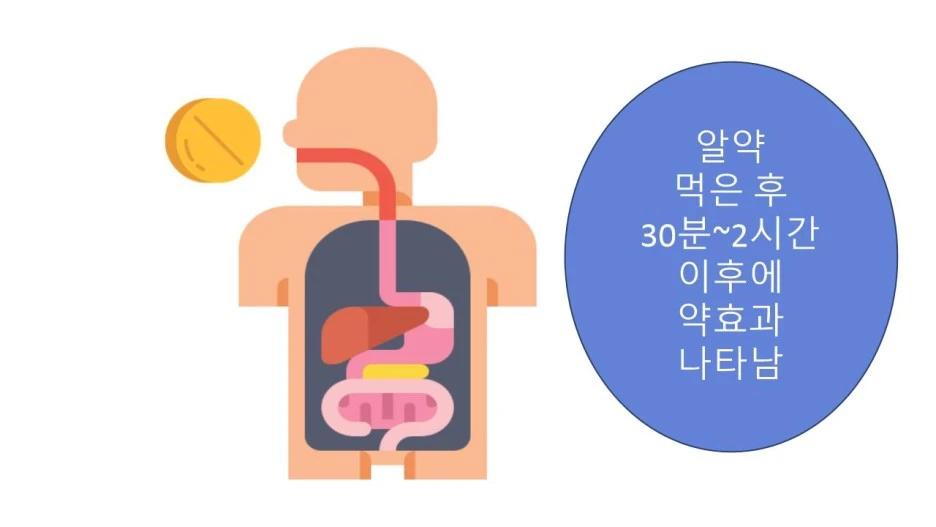 %EC%A0%95%EC%A0%9C%ED%9A%A8%EA%B3%BC%EC%82%AC%EC%A7%84.jpg?type=w1