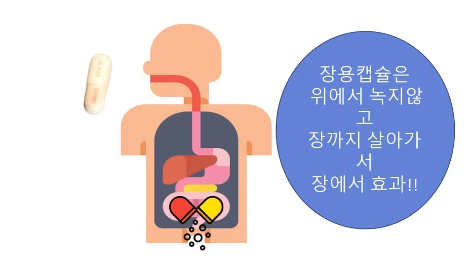 %EC%9E%A5%EC%9A%A9%EC%BA%A1%EC%8A%90%ED%9A%A8%EA%B3%BC%EC%82%AC%EC%A7%84.jpg?type=w1