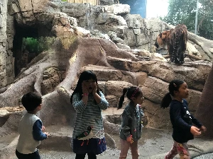 IMG_5310 - 복사본.JPG