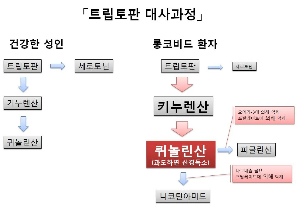 롱코비드 트립토판.JPG