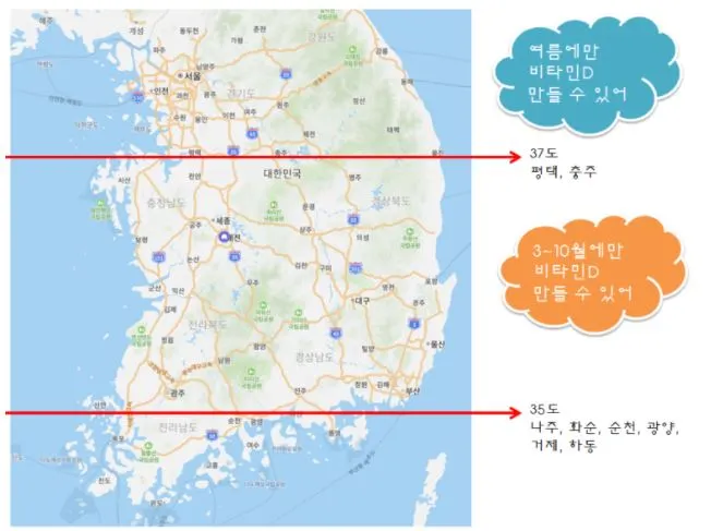 비타민D 위도.JPG