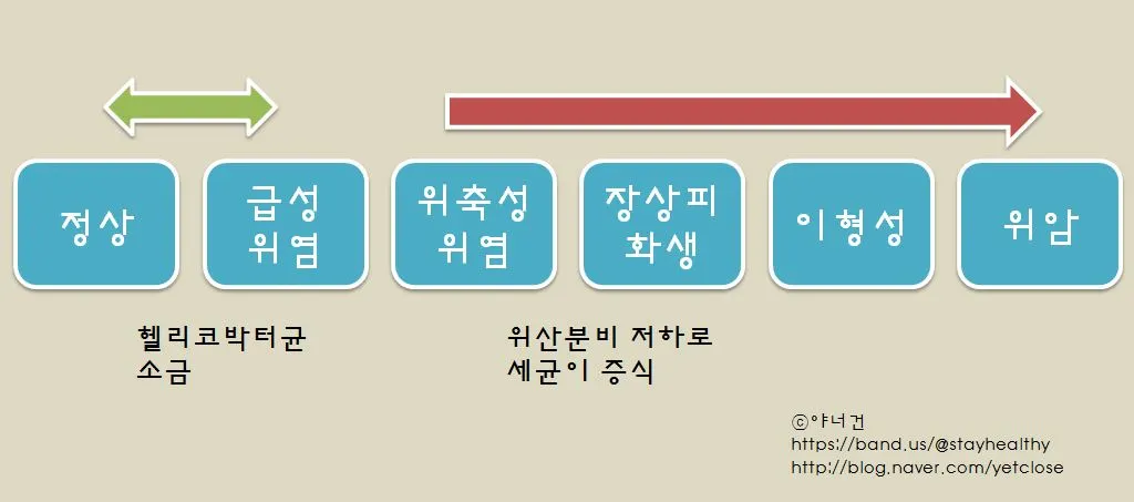 correa hypothesis.JPG