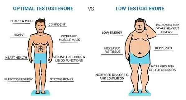 testosterone.JPG