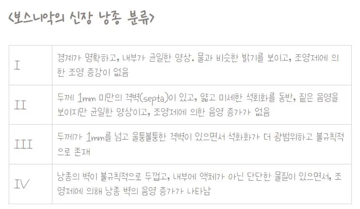 보스니악 분류.JPG