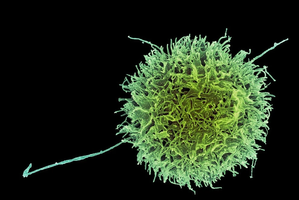 d_4c1Ud018svcjc8iit87rbgk_f0tse7.png?type=e1920_std