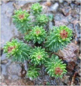 6_1fgUd018svc1t7w40437c8wy_f0tse7.png?type=e1920_std