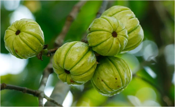 f_29gUd018svc14zfspt91gkfv_f0tse7.png?type=e1920_std