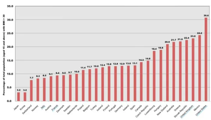 obesity epidemic.JPG