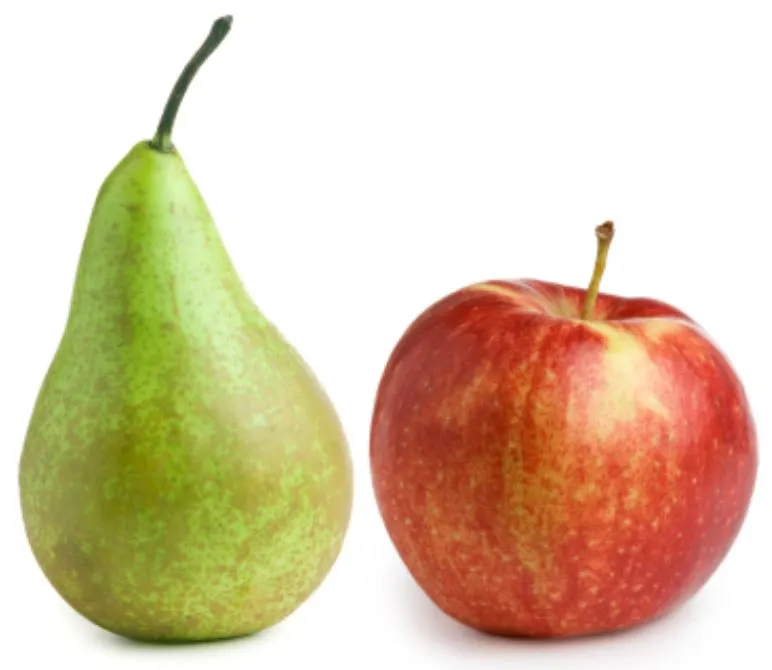 pear and apple.JPG