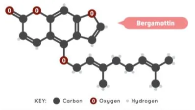 자몽 베르가모틴.JPG