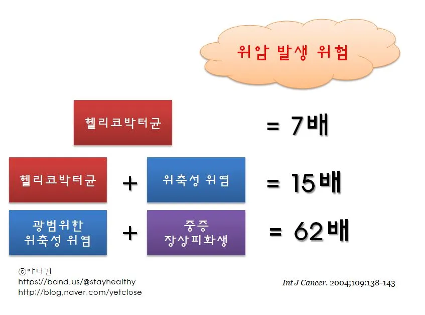 위축성위염과 헬리코박터균.JPG