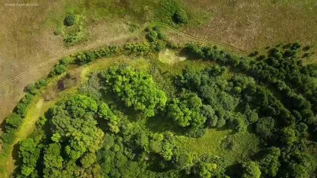 ?src=http%3A%2F%2Fblogfiles.naver.net%2FMjAyNDEwMTFfMSAg%2FMDAxNzI4NjU2NzUzNjM2._qIgzXlQbn8lL97DZ1PrBwbfpKTWQceAM_x1KVk091gg.-DyPnAJcemrK1chshspzPUqiSuUYqXq6zQytpAc4MDkg.JPEG%2F5265754375646681971.jpg&type=sc960_832