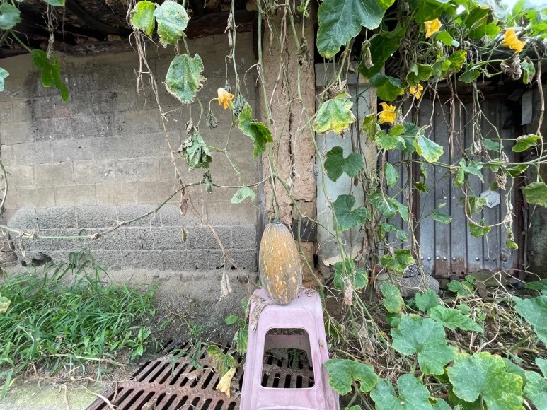 KakaoTalk_20220907_093006261_09.jpg?type=w773