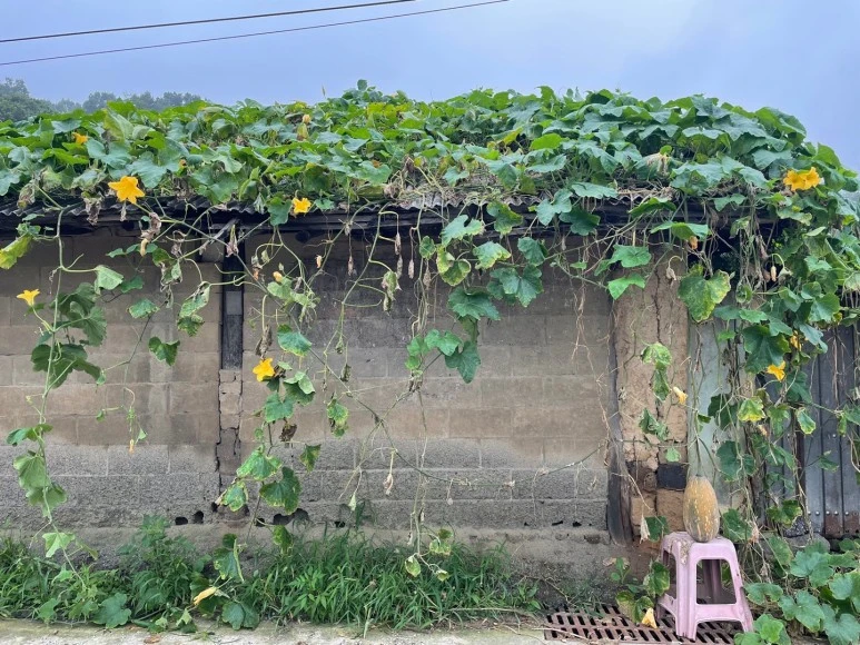 KakaoTalk_20220907_093006261_13.jpg?type=w773