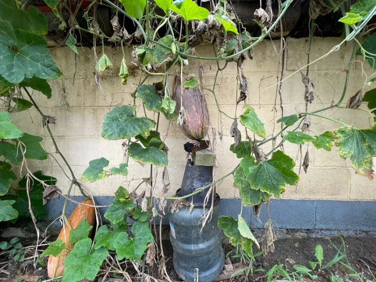 KakaoTalk_20220907_093006261_10.jpg?type=w773