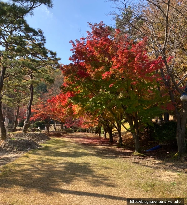 SE-5326fc47-3faf-4ec6-80fb-6d900c778bf4.jpg?type=w773