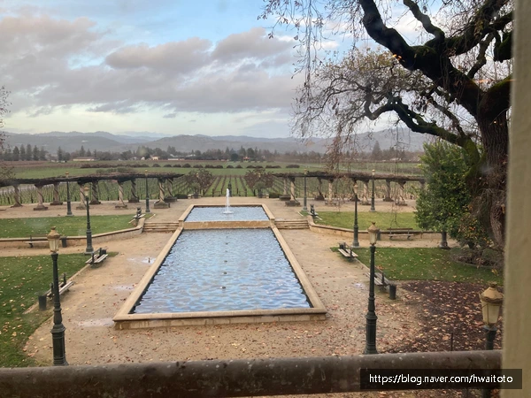 SE-f3316149-cd34-45d9-ac40-a22b40e83432.jpg?type=w773