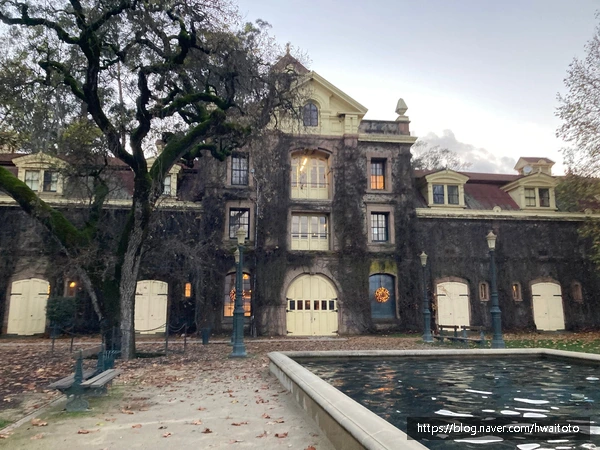 SE-edaa832e-042f-4ff0-b2bf-a9d60a2b0097.jpg?type=w773