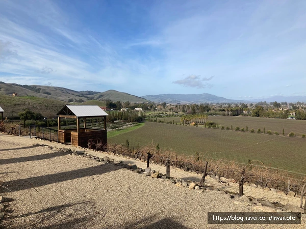 SE-9e6cc771-ac19-4bf4-93e9-b49c7415cfb6.jpg?type=w773