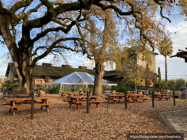 SE-438f4884-ee90-46c3-b3e7-6c0220b28cdb.jpg?type=w773