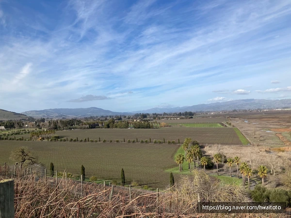 SE-4a86bbc7-4c3c-40f9-889d-1fb02572e699.jpg?type=w773