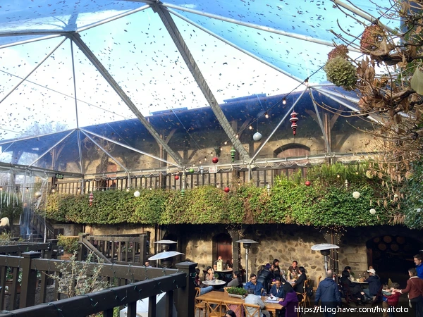 SE-c55b639e-19e5-4be1-927f-3321dbf6cb44.jpg?type=w773