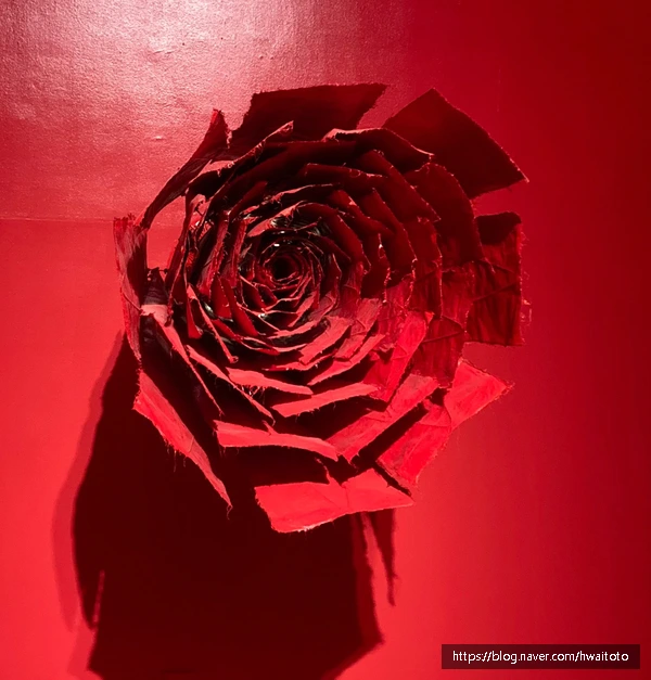 SE-243f582e-96ae-4812-85bf-0bcacecd8725.jpg?type=w773