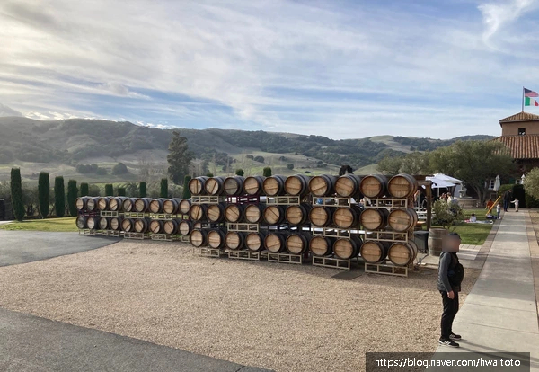 SE-0cd9c76b-b844-4e72-addb-94bc703f2254.jpg?type=w773