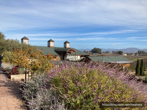 SE-8bd91f0b-0dd0-4bdf-afd7-cbf7662e9c93.jpg?type=w773