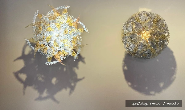 SE-6e38f1e7-5b7c-4f4a-96d6-ee31f41e26a9.jpg?type=w773