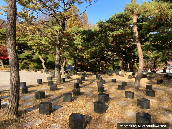 SE-5dd648b2-5309-4b4d-9253-78b80b6f1e06.jpg?type=w773