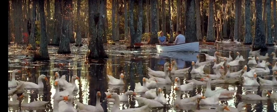 output_4211617223.jpg?type=w966