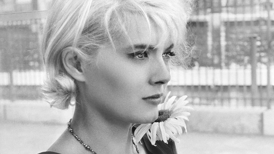 IMG_2269.JPG?type=w966