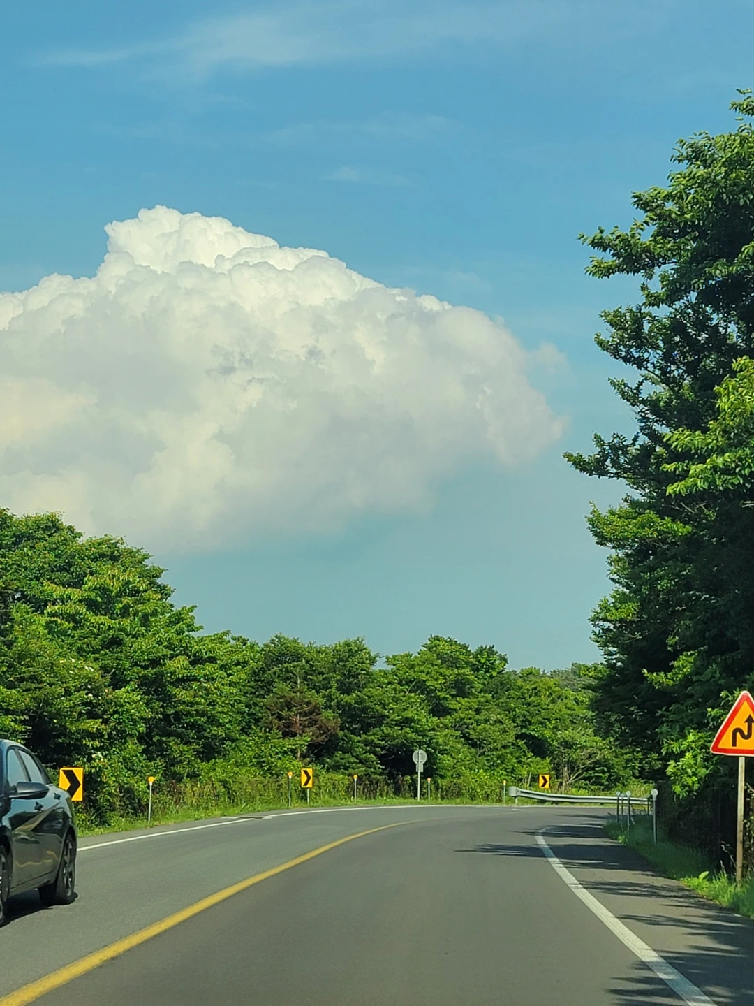 오늘의 사진.jpeg