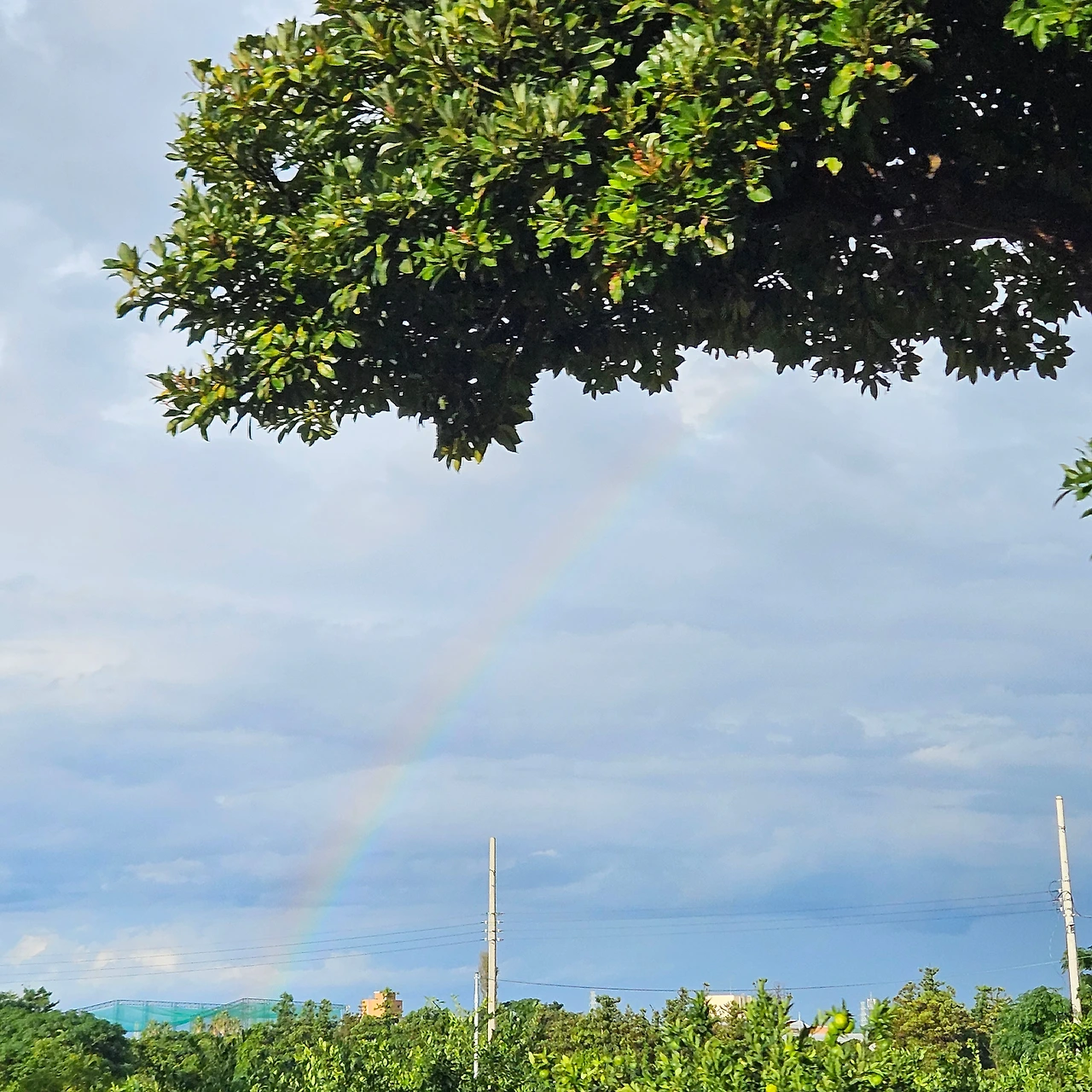 제주의 하늘.jpeg