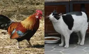 hcyjm1rhyrJ_j8P13sISI-A_S8N11TRep2W6IFToQ2pUtS4FOjsVuXsSpy3b9SOkc1e8K4IFJo8aiD6AHWcaU6SloeUq_HbDEy1KG5h7ePxme22AVmmv_6xCAr532alD1xuwG4i8RA8tqmRslL0GR8I