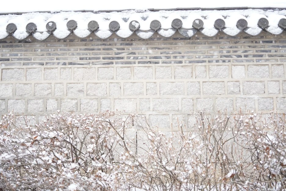 PAR09253.JPG?type=w1