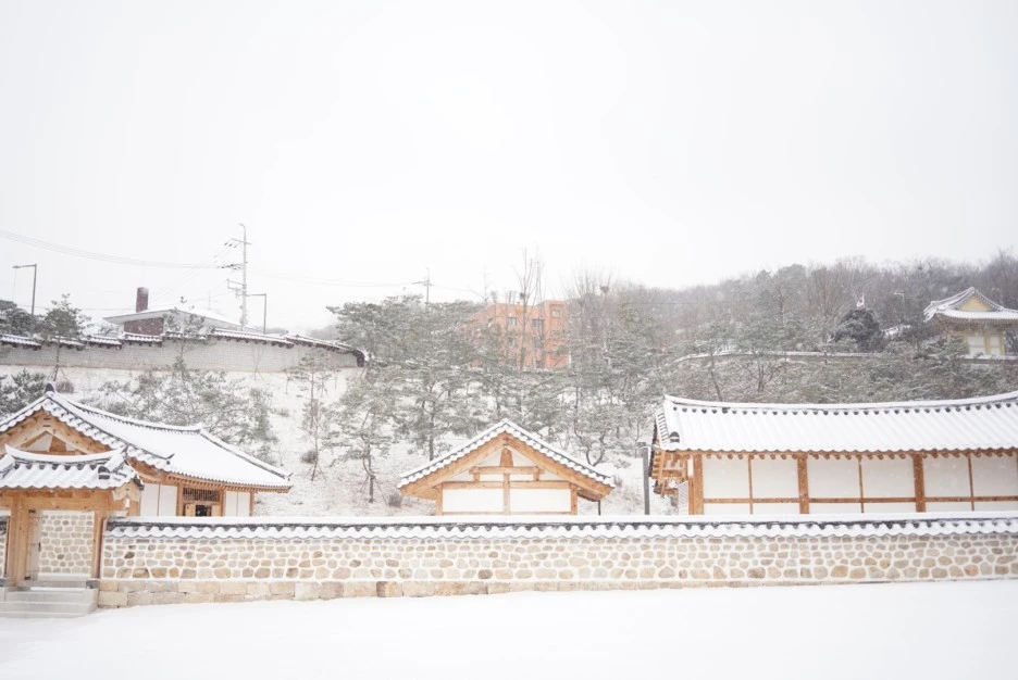 PAR09245.JPG?type=w1