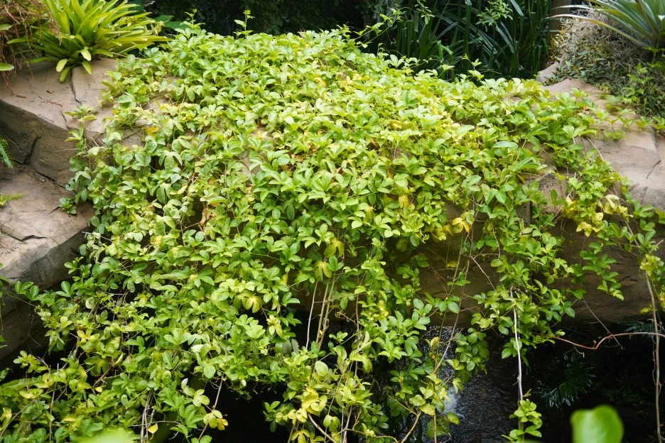 PAR07865.JPG?type=w1