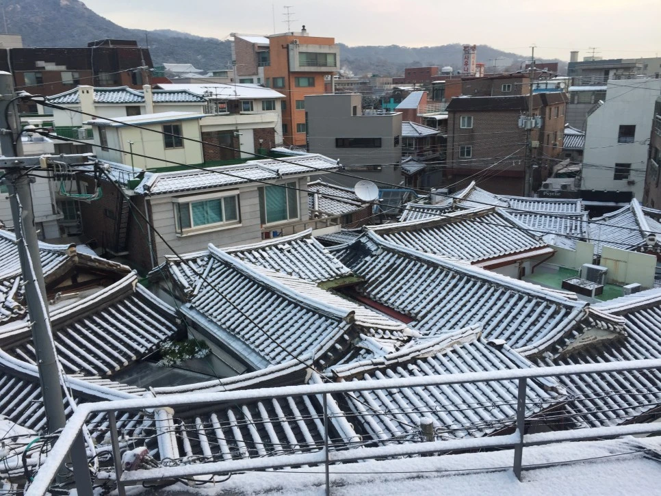 P20171124_073134103_2809AFD1-072C-46DB-A9C3-F77CE7272A7B.JPG?type=w966