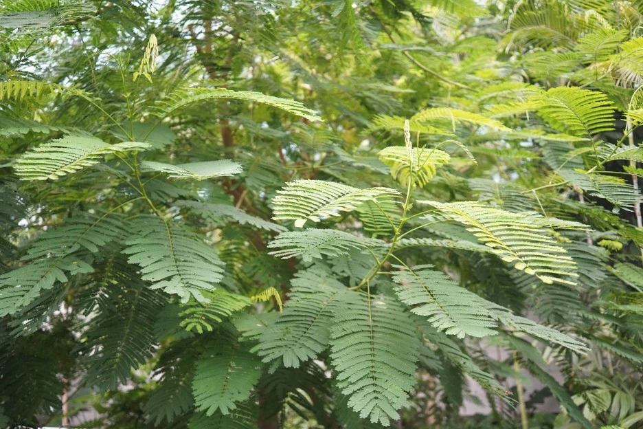 PAR07826.JPG?type=w1