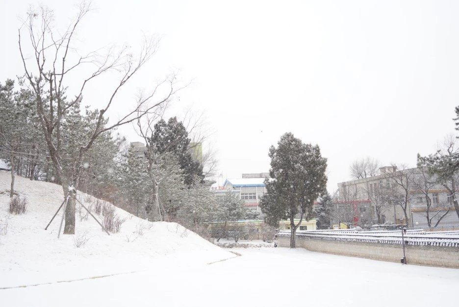 PAR09247.JPG?type=w1