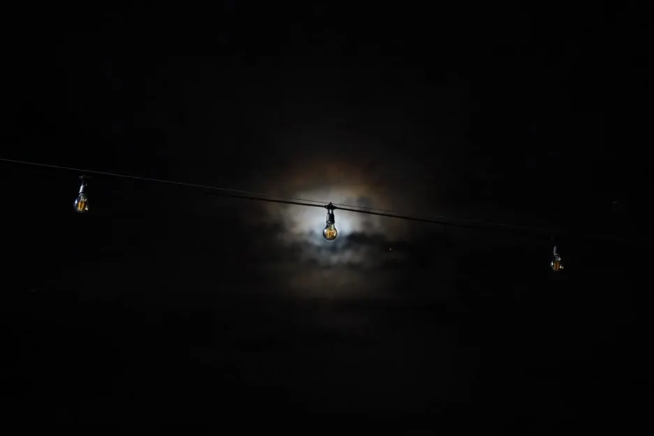 PAR08473.JPG?type=w1