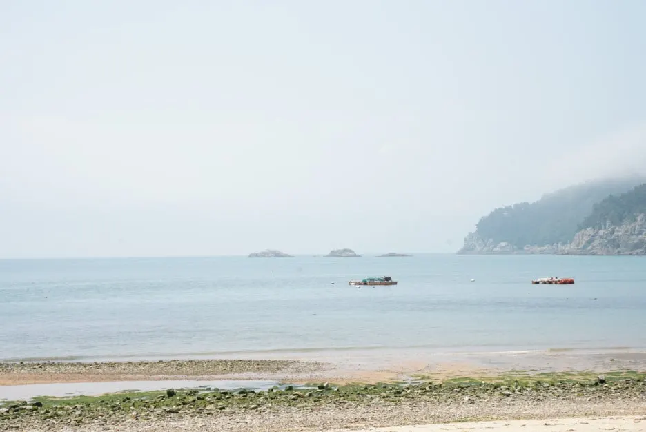 PAR09833.JPG?type=w1