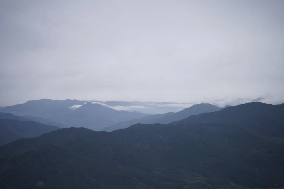 PAR08387.JPG?type=w1