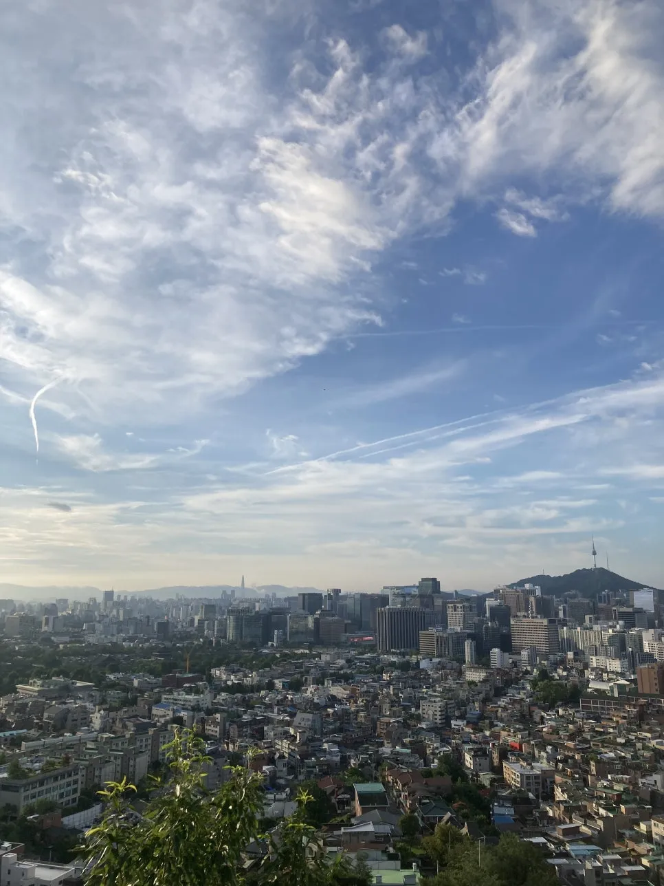 IMG_3598.jpg?type=w966