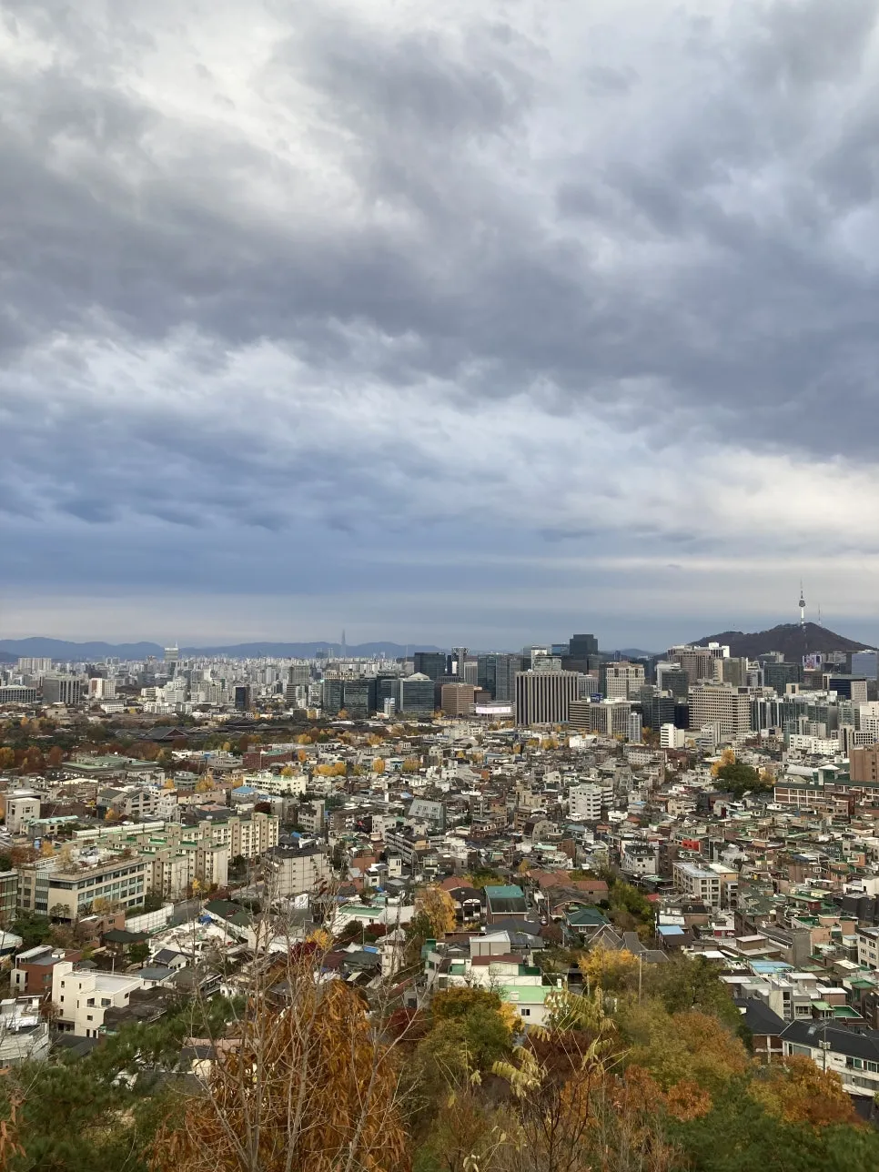 IMG_4891.jpg?type=w966