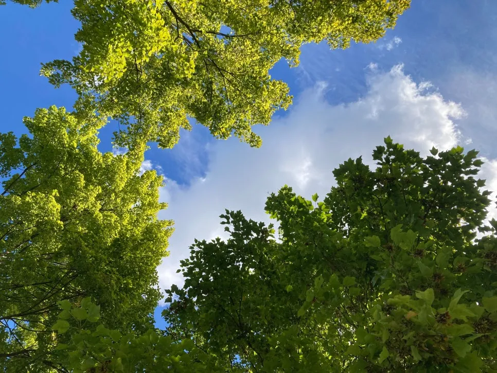 SE-67fda841-f495-42bc-94a9-09f96e1c8401.jpg?type=w966